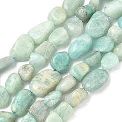 Natural Amazonite Beads Strands&nbsp;G-Z126-A01