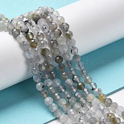Natural Labradorite Beads Strands&nbsp;G-I341-11