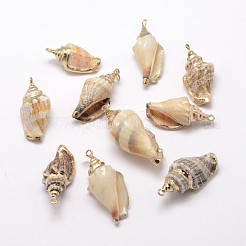 Golden Electroplated Conch Shell Pendants&nbsp;BSHE-M016-02