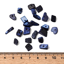 Dyed Natural Freshwater Shell Chips Beads&nbsp;X-SHEL-O001-12C