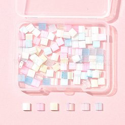 100Pcs 10 Styles 2-Hole Glass Seed Beads&nbsp;SEED-FS0001-45