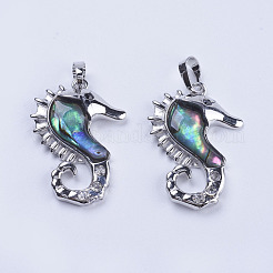 Abalone Shell/Paua Shell Pendants&nbsp;SSHEL-L008-05P