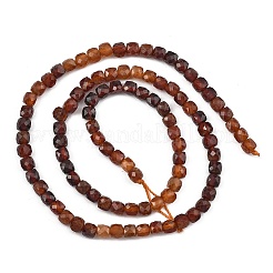 Gradient Color Natural Garnet Beads Strands&nbsp;G-D103-C06