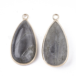 Natural Labradorite Pendants&nbsp;G-S344-51C