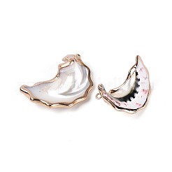 Electroplate Natural Sea Shell Pendants&nbsp;SSHEL-T018-19