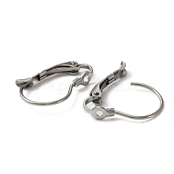 316 Surgical Stainless Steel Leverback Earring Findings&nbsp;STAS-WH0002-73B