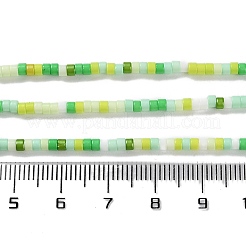 Handmade Lampwork Beads Strands&nbsp;LAMP-L078-008