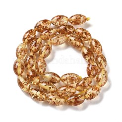 Resin Imitation Amber Beads Strands&nbsp;RESI-Z023-01
