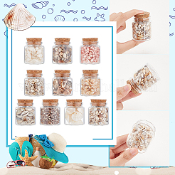 10Pcs Natural Sea Shell Conch Bead & Transparent Glass Bottle Display Decorations&nbsp;AJEW-AB00075