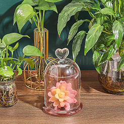 Clear Glass Dome Cover&nbsp;DJEW-WH0039-69B