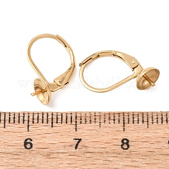 304 Stainless Steel Leverback Earring Findings&nbsp;STAS-G385-04G