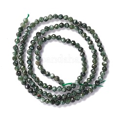 Natural Seraphinite Beads Strands&nbsp;LS-G-A021-07B