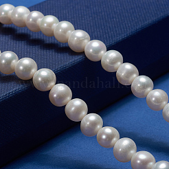 Natural Cultured Freshwater Pearl Beads Strands&nbsp;PEAR-E002-25-01