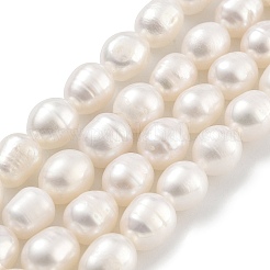 Natural Cultured Freshwater Pearl Beads Strands&nbsp;PEAR-P062-08G