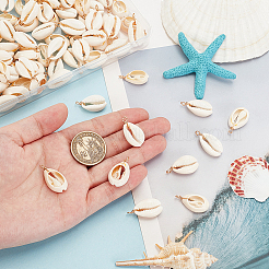 100Pcs Natural Cowrie Shell Pendants&nbsp;FIND-PH0021-26