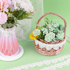 2.7~3 Yards Polyester Lace Trim&nbsp;SRIB-GF0001-30