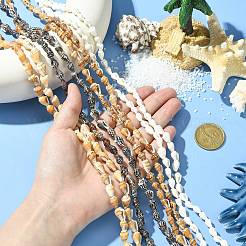 4 Strands 4 Colors Natural Freshwater Shell Beads Strands&nbsp;SHEL-CJ0001-38