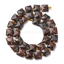 Natural Red Labradorite Beads Strands&nbsp;G-F839-A04-01