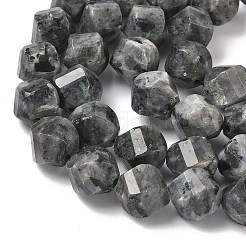 Natural Larvikite Beads Strands&nbsp;G-C267-B24