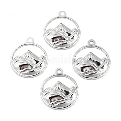 Non-Tarnish 201 Stainless Steel Pendants&nbsp;STAS-N098-141P