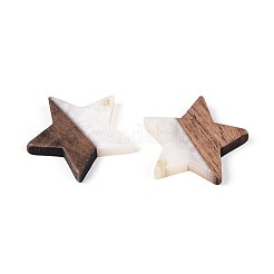 Resin & Walnut Wood Pendants&nbsp;RESI-T057-37M