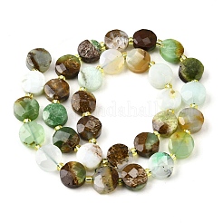 Natural Serpentine Beads Strands&nbsp;G-B094-A33-01