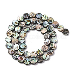 Natural Paua Shell Beads Strands&nbsp;BSHE-ZX006-09C