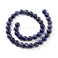 Natural Lapis Lazuli Round Beads Strands&nbsp;G-I181-09-10mm