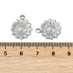 304 Stainless Steel Pendants&nbsp;STAS-D363-06P