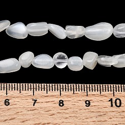 Natural White Moonstone Beads Strands&nbsp;G-P601-A18-02