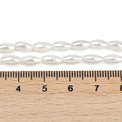 Electroplated Shell Pearl Beads Strands&nbsp;BSHE-Z009-10A