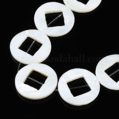 Natural Freshwater Shell Beads Strands&nbsp;SHEL-N026-171