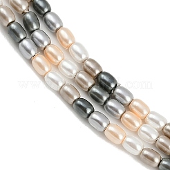 Electroplated Shell Pearl Beads Strands&nbsp;BSHE-H113-06A-03