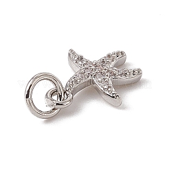 Brass Micro Pave Cubic Zirconia Charms&nbsp;ZIRC-F132-25P