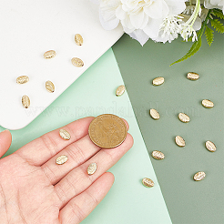 24Pcs Alloy Beads&nbsp;FIND-PH0028-69