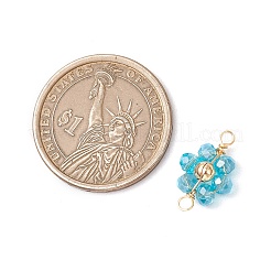 7Pcs 7 Colors Electroplate AB Color Transparent Glass Faceted Rondelle & Brass Round Beaded Flower Connector Charms&nbsp;PALLOY-JF03466