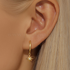 304 Stainless Steel Micro Pave Cubic Zirconia Hoop Dangle Earrings for Women&nbsp;MS6210-4
