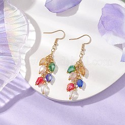 Glass Beaded Dangle Earrings&nbsp;EJEW-JE05976