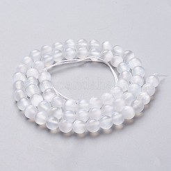 Natural Selenite Beads Strands&nbsp;G-L552H-16A