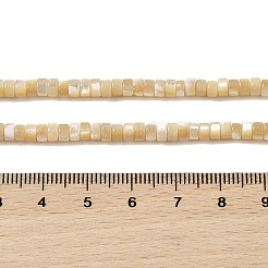 Natural Trochid Shell/Trochus Shell Beads Strands&nbsp;BSHE-H018-02