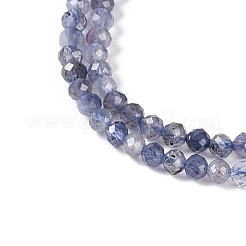 Natural Iolite Beads Strands&nbsp;G-N342-32