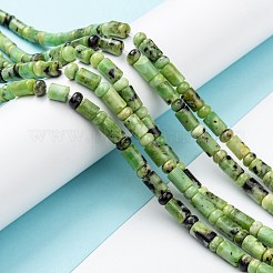 Natural Serpentine Beads Strands&nbsp;G-C074-01