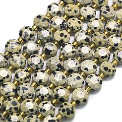 Natural Dalmatian Jasper Beads Strands&nbsp;G-C116-A31-02