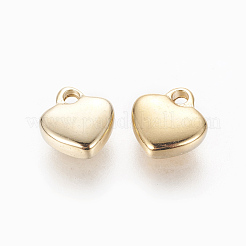 304 Stainless Steel Charms&nbsp;STAS-L233-024G
