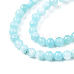 Natural Freshwater Shell Beads Strands&nbsp;BSHE-T009A-01E