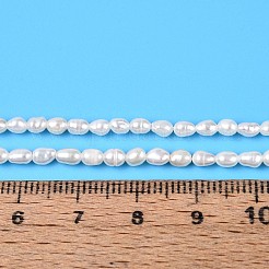 Natural Cultured Freshwater Pearl Beads Strands&nbsp;PEAR-T006-27