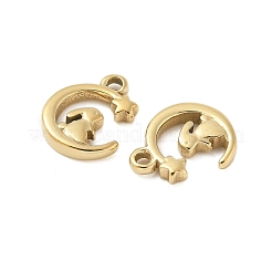 304 Stainless Steel Charms&nbsp;STAS-L022-451G