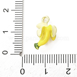 Alloy Enamel Pendants&nbsp;AL-CBA24A7-01G-08