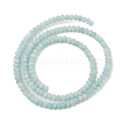 Natural Freshwater Shell Dyed Beads Strands&nbsp;SHEL-R100-13A-02
