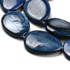 Dyed Natural Freshwater Shell Beads Strands&nbsp;BSHE-G034-24